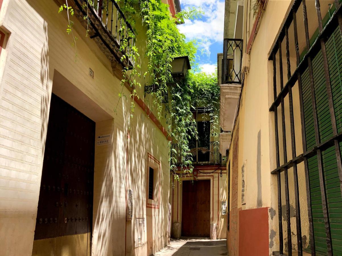 Acogedor Apt 8Pax 4Bdr 2Bth- Cozyhomesevilla2 Extérieur photo